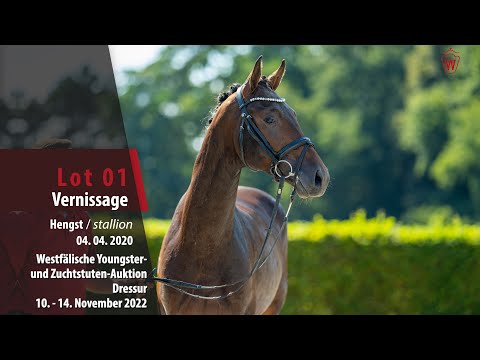 Online-Auktion Lot 01 Vernissage Hengst v. Vaderland - San Amour l