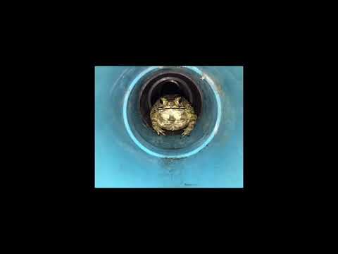 Move Like Dangerous - Alesso x Going Deeper x Stadiumx (F-Track Mashup)