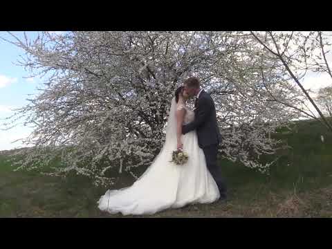 Свадебная прогулка (SOMEONE Vanotek Feat. Denitia)