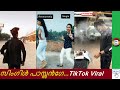 സിംഗിൾ പാസ്സൻഗേ TikTok Viral Video Single Passangee Variety Viral HD Vid