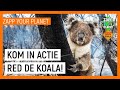 SOS KOALA | Zapp Your Planet | NPO Zapp
