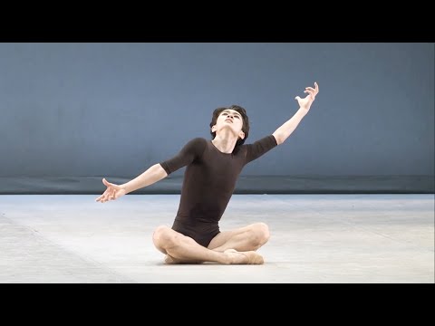 CONTEMPORARY & BALLET MALE DANCERS CLXXXXI - COFL
