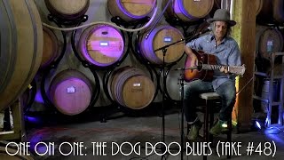 ONE ON ONE: Steve Poltz - The Dog Doo Blues (Take #48) September 30th, 2016 City Winery New York