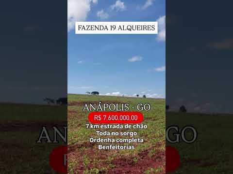 Terra em Anápolis Goiás/ whatsapp 62 99373-6407