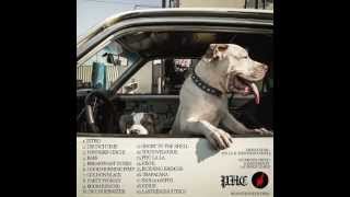 Azizi Gibson - Intro