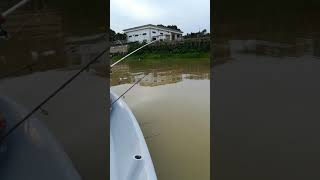 preview picture of video 'Memancing udang galah di sungai muda kedah'