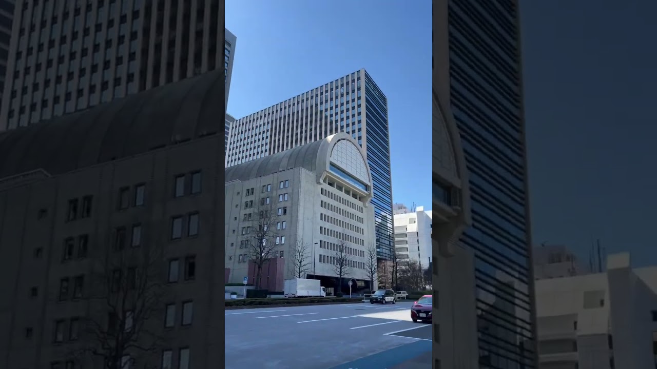 Cherry Blossom in Hibiya 🌸#shorts