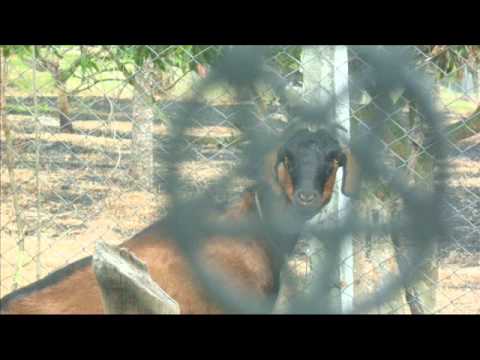 Luxaeterna- Sebastian Claro