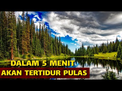 download lagu mp3 mp4 Musik Tidur, download lagu Musik Tidur gratis, unduh video klip Musik Tidur