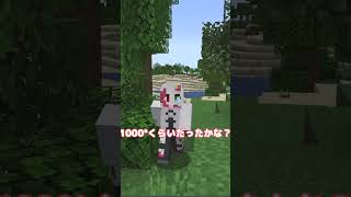 【ガチ考察】マイクラのそれ、おかしくない？ その13  #マインクラフト #shorts #ゆっくり