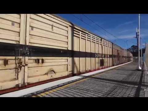 6009 / 6028 with Aurizon 7MB7 at Narara - 26/7/15