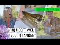 DOODSBANGE PRESENTATOR WORDT GEBETEN DOOR SNOEK! | Steken en Prikken S2 #10 | NPO Zapp