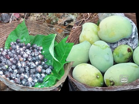 #vileg mango cranberries fruds