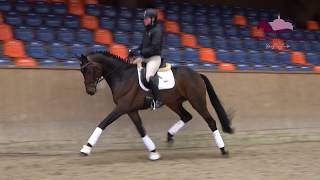 Video af Belantis II