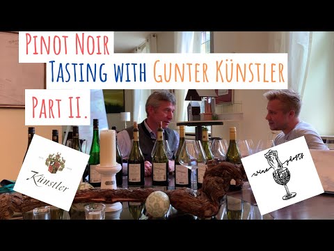 Tasting & Chatting with Gunter Künstler | Part 2. | Wine Ghosts Podcast Ep. 31.