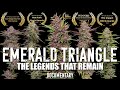 Emerald Triangle The Legends That Remain Cannabis Documentary