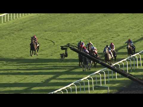 9. dostih - EJC Lokotrans Middle - dostihy Chuchle Arena Praha 25. 9. 2021