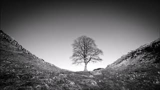 Benjamin Clementine - Phantom Of Aleppoville