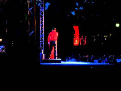 Sommernacht des Musicals 2011 Too late