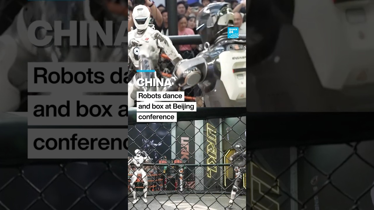 China: Robots box and dance at Beijing's 2026 World Robot Conference • FRANCE 24 English