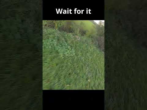 Not TREES but...  #fail #failarmy #fpv #fpvdrone #freestyle #dji #shortsviral #shortsfeed #shorts