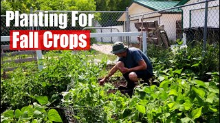 Plant For Fall Harvest in the Garden
