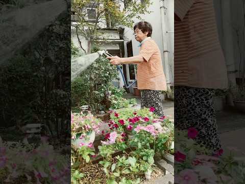 せっかちな人向け: 成長の早い多年草 トピックス