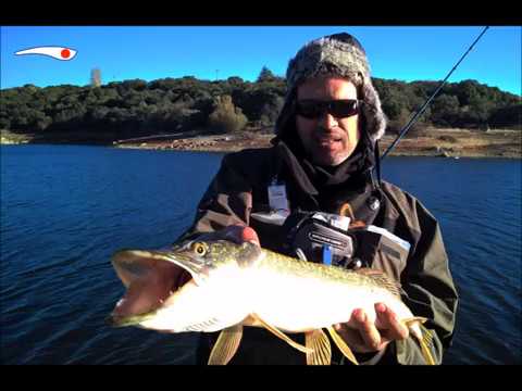 Madrid Fishing's Fly Fishing Videos