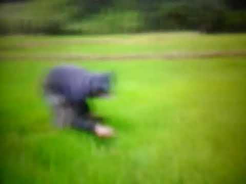 Sin Permiso Javier Ramirez Arjan