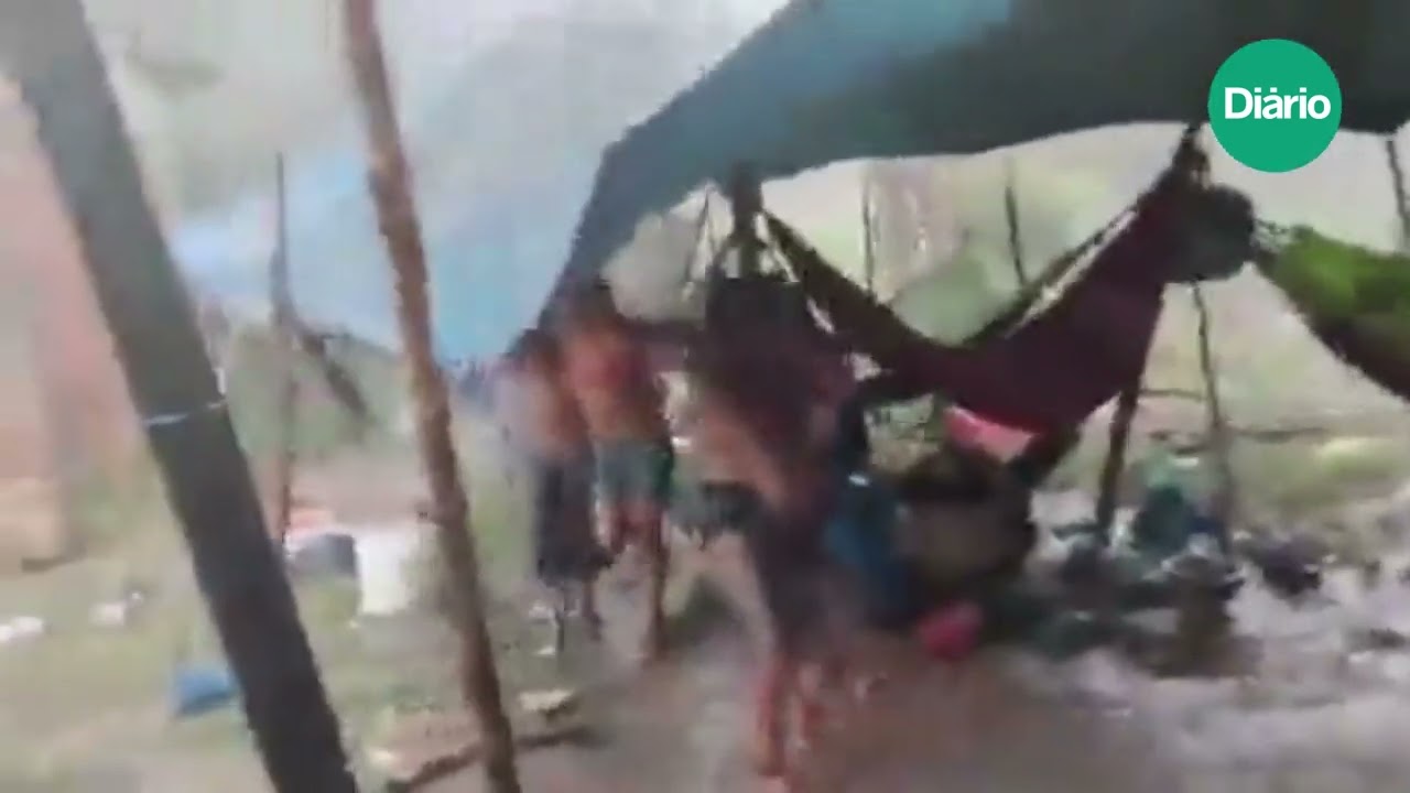 Imagem da notícia: Acampamento Yanomami é derrubado por temporal e crianças ficaram feridas no Amazonas
