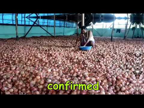 download lagu mp3 mp4 Shrek Copypasta, download lagu Shrek Copypasta gratis, unduh video klip Shrek Copypasta