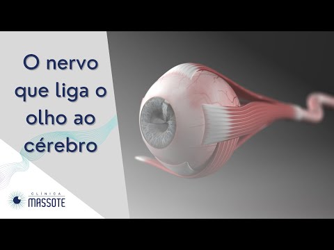 O nervo que liga o olho ao cérebro