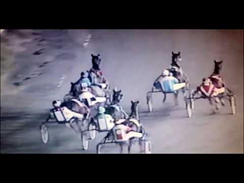 1991 Meadowlands CHEERY HELLO Overbid Final $53,250 John Campbell
