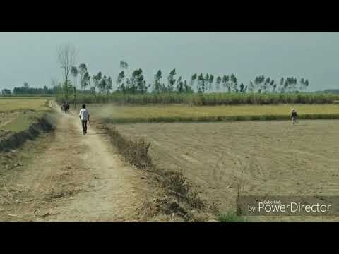 Dasso Keda Roya Nahi C Pind Chhad K || Manmohan Waris || Kamal Heer || Latest Punjabi Song