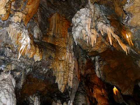 Ave Maria- Seroka Henri