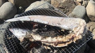男気キャンプファイヤー「太刀魚を１尾丸々食う！！」