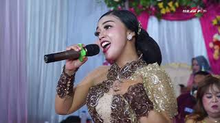 Download lagu SRAGENAN KOPLO TONDO MOTO | VOC. EVANI | CAMPURSARI TARDI LARAS mp3