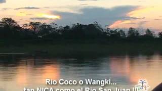 preview picture of video 'Coco o Wanki Nicaragua 01a'