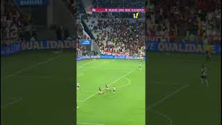 FLUMINENSE 2 X 1 FLAMENGO: MELHORES MOMENTOS E OS GOLS DA VITÓRIA! #fluminense #flamengo #futebol