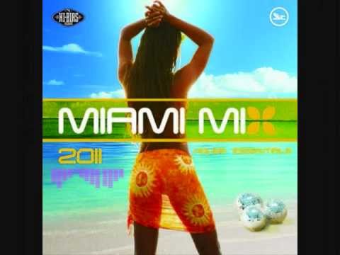 DJ PaNiCBeatzzZ - November & Dezember Mix 2011