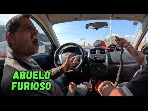 Thief Grandad (JOKE)