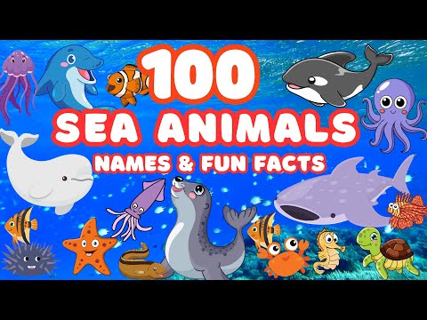100 Cool Sea Animals for Kids | Learn Their Names and Fun Facts!