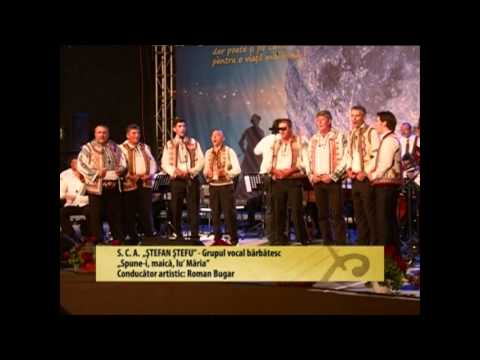 Grup vocal barbatesc al S.C.A."Stefan Stefu" Ecica - Marele Festival San Mihai 2013.