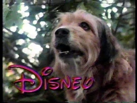 Disney Benji The Hunted NBC Promo (1989)