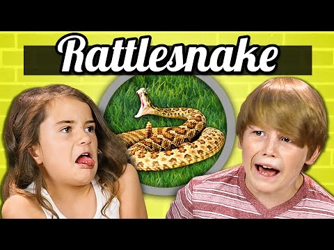 KIDS vs. FOOD - RATTLESNAKE