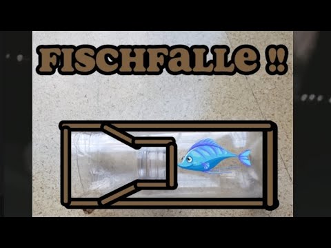Fischfalle selber bauen !! Mit nur einer flasche und Schnur