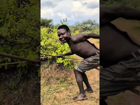 Hunter vs Sick Lion: Unbelievable Scene! शिकारी बनाम बीमार शेरः अविश्वसनीय Caçador vs Leão Doente!