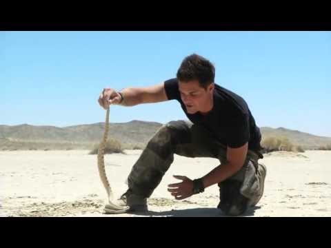 G'zOne Adventure with Alex Jones - Scene 1 Snake Hunt