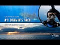 Folge 4 – Darwin's Arch – Galapagos Serie - Deutsch, Walhai, Darwin, Galapagos, Darwin's Arch, diving, Hammerheads, Whaleshark, Ecuador