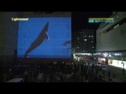 Animal ligero del desfile de Hikaru Takasaki